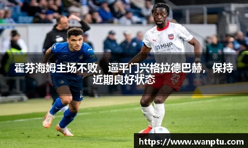 霍芬海姆主场不败，逼平门兴格拉德巴赫，保持近期良好状态